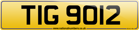 TIG 9012
