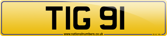 TIG 91