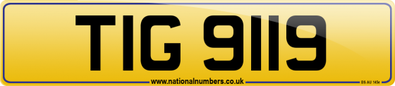 TIG 9119