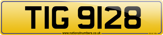 TIG 9128