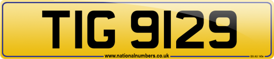 TIG 9129