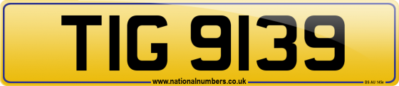 TIG 9139