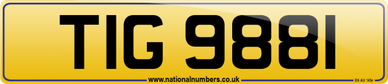 TIG 9881