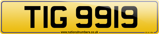 TIG 9919
