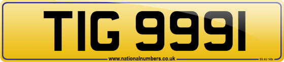 TIG 9991