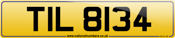 TIL 8134