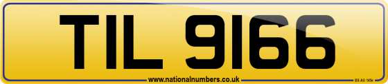 TIL 9166