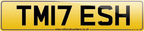 TM17 ESH