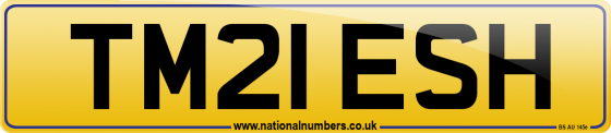 TM21 ESH