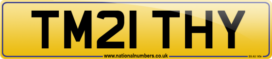TM21 THY