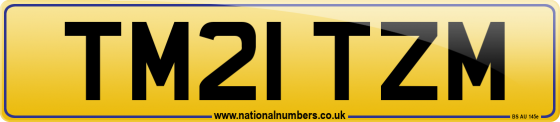 TM21 TZM