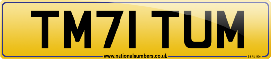 TM71 TUM