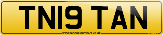 TN19 TAN
