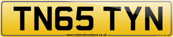 TN65 TYN