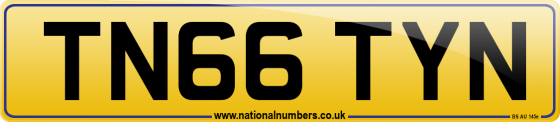 TN66 TYN