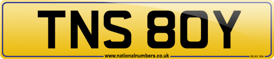 TNS 80Y