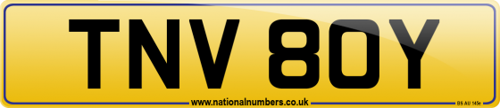 TNV 80Y