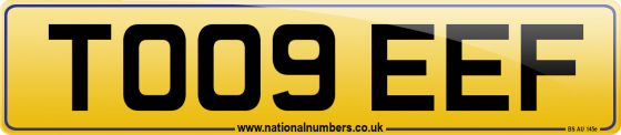 TO09 EEF