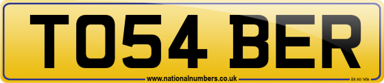 TO54 BER