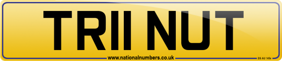 TR11 NUT