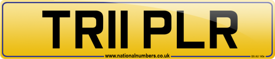 TR11 PLR