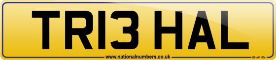 TR13 HAL