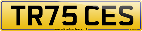 TR75 CES