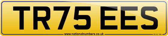 TR75 EES