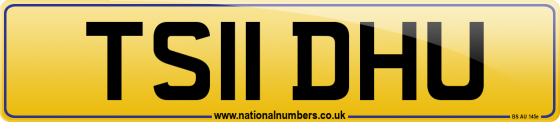 TS11 DHU