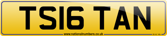 TS16 TAN