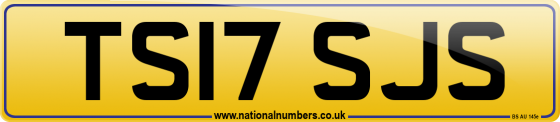 TS17 SJS