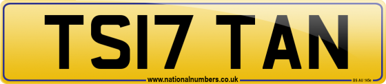 TS17 TAN