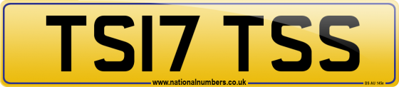 TS17 TSS