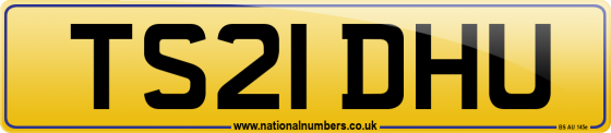 TS21 DHU