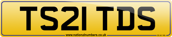 TS21 TDS