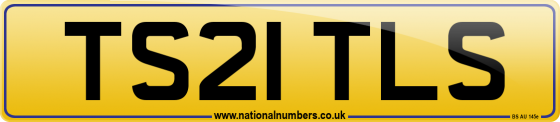 TS21 TLS