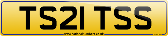 TS21 TSS