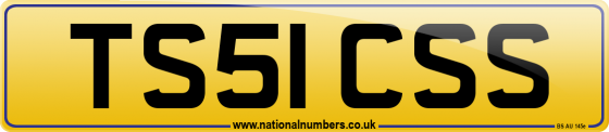 TS51 CSS