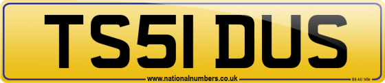 TS51 DUS