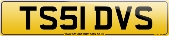 TS51 DVS