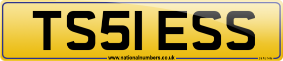 TS51 ESS