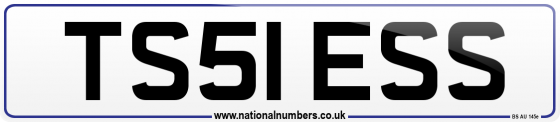 TS51 ESS