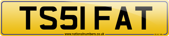 TS51 FAT