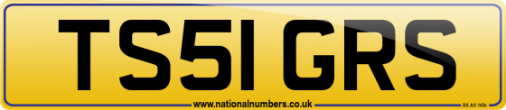 TS51 GRS