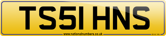 TS51 HNS