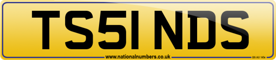 TS51 NDS