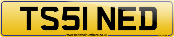 TS51 NED