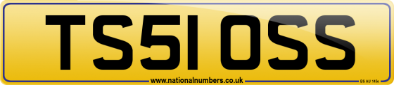 TS51 OSS