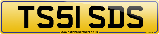 TS51 SDS