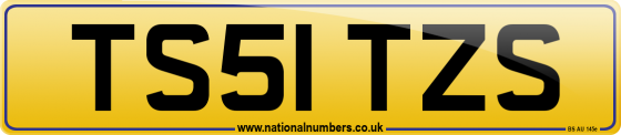 TS51 TZS